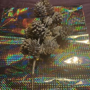 Beautiful glitter pics